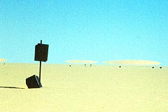 Shell Kanister nahe Dune  Gap (Selima Sand Sheet, Ägypten)